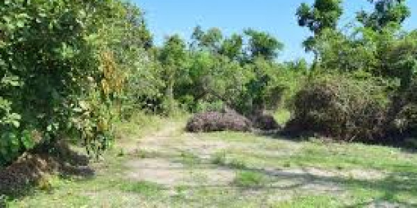 Al-Ahmad Garden Housing Scheme,6 Marla--Plot For Sale