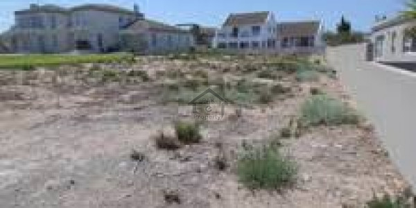 Near Central Park 250 SQY Precinct 54.