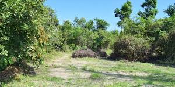 Khayaban-e-Amin,5 Marla Plot Is Available For Sale