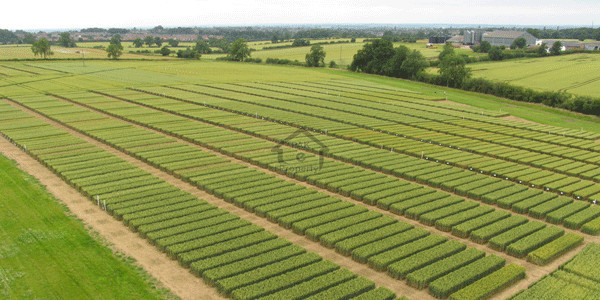 Jubilee Town - Block C-3 Marla Residential Plot Available For Sale