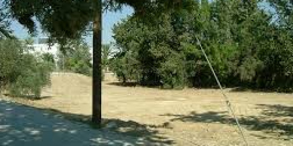 Citi Housing Society  Phase 1-10 Marla- Plot  For Sale