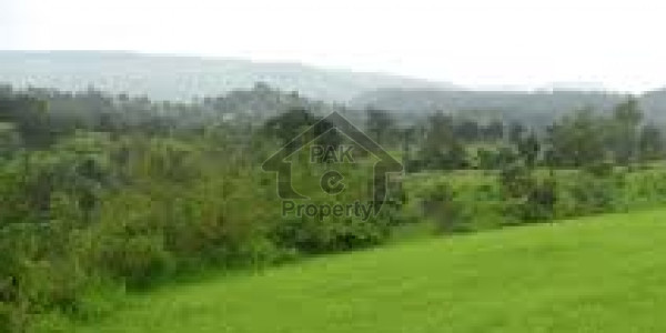 1 Kanal Plot Available In Ferozepur City