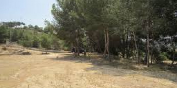 Gulberg Residencia  Block P- 7 Marla-  Well Located Plot  For Sale