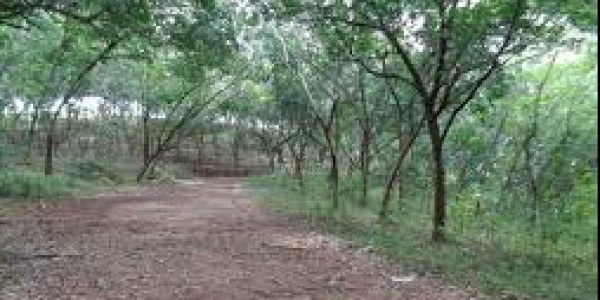 Gulberg Residencia - Block T,Plot Sale On Investor Rate Developed