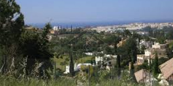 600 Yard Plot For Sale