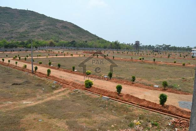 10 Marla Residential Plot
