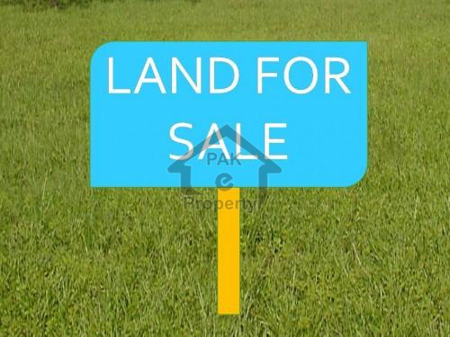 Main Bazar - 1500 Sq Feet Ideal Location Plot