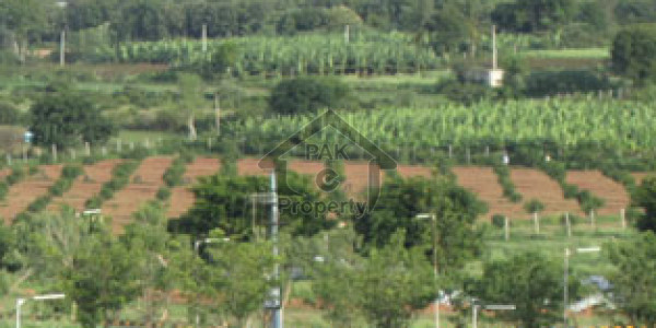 5 Marla Plot On Double Road For Sale