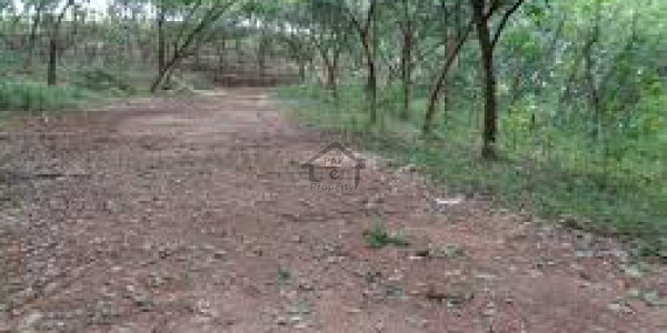 OLC Block B- 8 Marla-  Residential Plot For Sale.