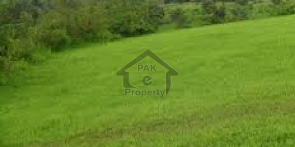 Residential Plot File Is Available For Sale