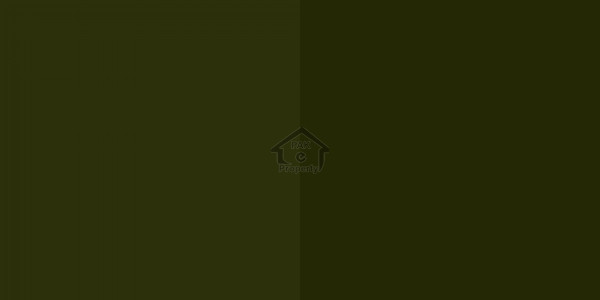 Rahim Karim Town - Double Story Brand New Beautiful Furnished House For Sale At Makkah Society IN Okara