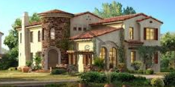 Large Bungalow For Rent - Good Location Of Shahbaz Town