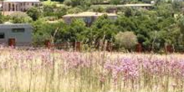 Rahim Yar Khan Bypass-   3 Marla-    Commercial Plot For Sale.