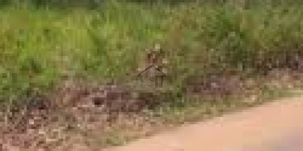 Fateh Jang Road - Agricultural Land Is Available For Sale IN Islamabad