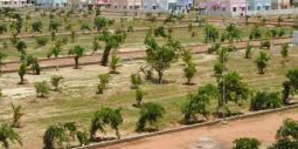 I 14/3-   6 Marla-   Residential Plot For Sale.