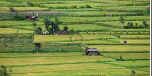 G-13/1, 14 Marla-Plot For Sale