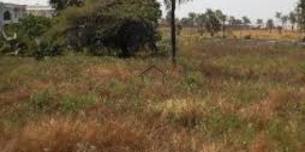 Royal Palm City-   4 Marla-   Commercial Plot Director Qouta.