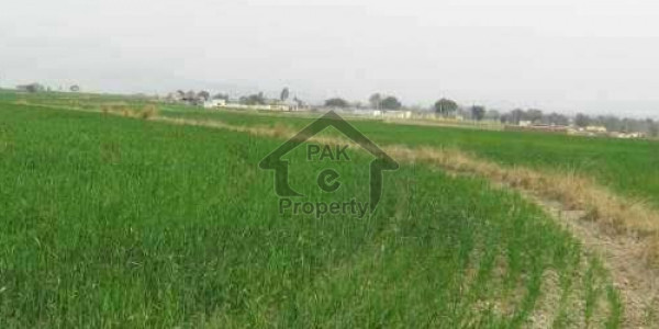 Plot For Sale In Nawabshah