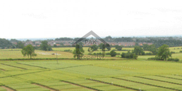 Plot For Sale In Nawabshah