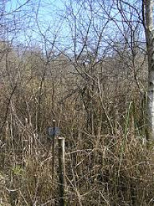 Bahria Town Phase 8 - 1 Kanal Residential Plot Available For Sale IN Rawalpindi