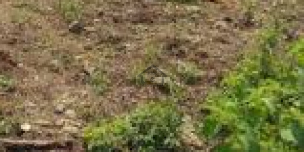 Bahria Town Phase 8 - Bahria Orchard - Residential Plot Available For Sale IN Rawalpindi