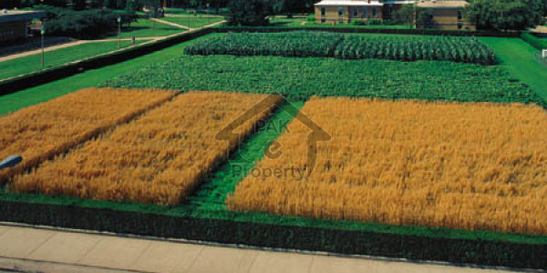 200 yards residential plot for sale