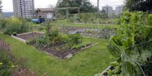 Bahria Town Phase 8 - Block C - 1 Kanal Residential Plot Available For Sale IN Rawalpindi