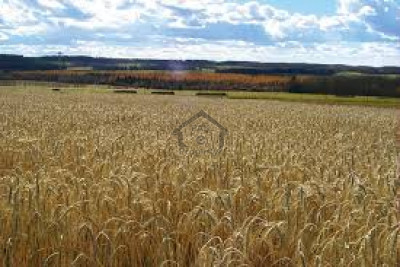 E-17/2 - 1 Kanal Plot File Available For Sale IN Islamabad