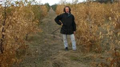 E-17/3 - 1 Kanal Residential Plot Available For Sale IN Islamabad