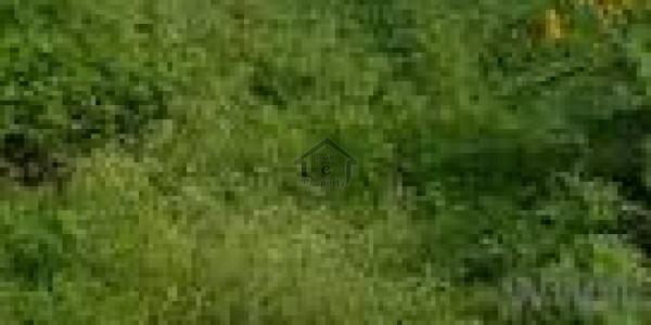 Bilal Town - Residential Plot Is Available For Sale IN Abbottabad