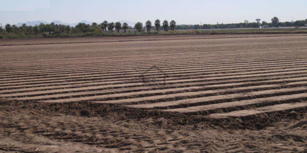 Main Mansehra Road-1 Kanal - Plot Is Available For Sale