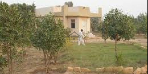 DHA Phase 6 - 8 MARLA COMMERCIAL PLOT FOR SALE