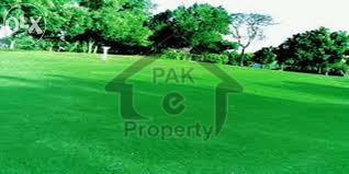 Residential Plot Is Available For Sale
