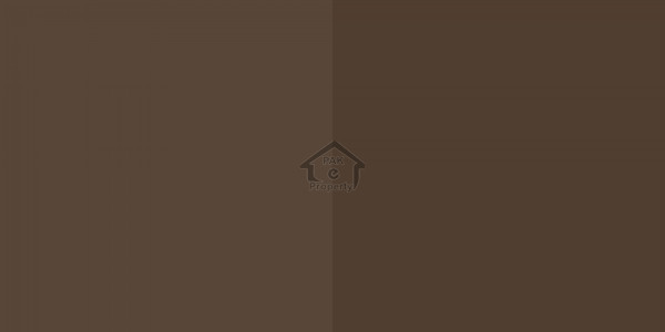 State Life Housing Society - 10 Marla Beautiful House Available For Sale IN Lahore