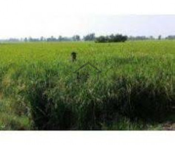 Mouza Washin Door - Open Land For Sale With 1 Acre Jinnah Avenue Front IN Gwadar