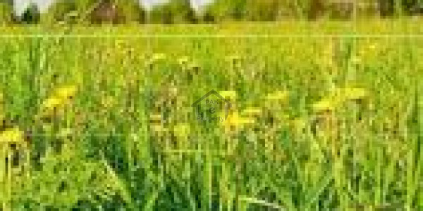 Mouza Chib Kalmati - Open Land For Sale With 1 Acre Iran Coastal Road Front IN Gwadar