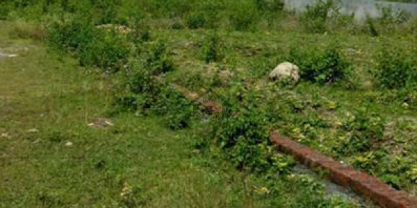 Gulshan-e-Mehmood ul Haq-   120 Sq Yd-   Plot For Sale.