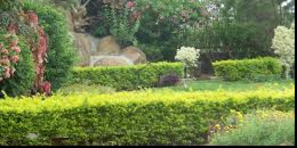 Iqbal Town,9 Marla Plot In  Sialkot