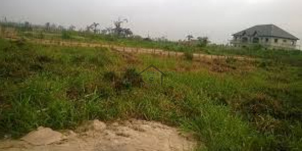 Vehari - 24 Kanal Agricultural Land For Sale IN Vehari