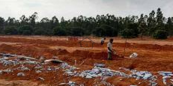 Vehari - 48 Kanal Agricultural Land For Sale IN Vehari