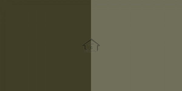 F-10 - Ground Portion Is Available For Rent IN Islamabad