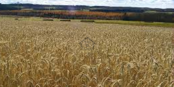 DHA Phase 7 - Block W - 1 Kanal Residential Plot For Sale In Lahore