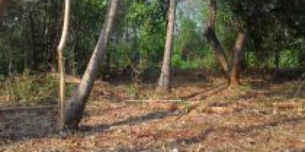 Bedian Road-    3 Marla-   Residential Plot For Sale.