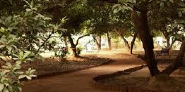 College Road,Plot For Sale In Faisalabad