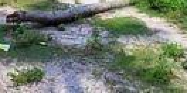 Deens Paradise, Samundari Road - Plot Is Available For Sale IN Faisalabad