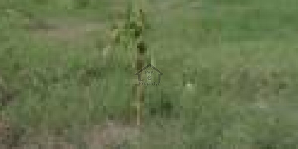 Tali Mori - Residential Plot Is Available For Sale IN Rawalpindi