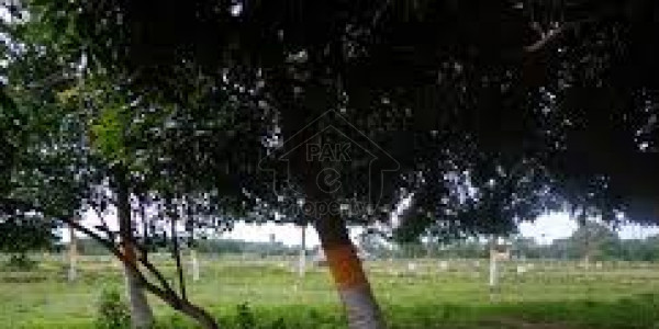 Residential Plot Is Available For Sale