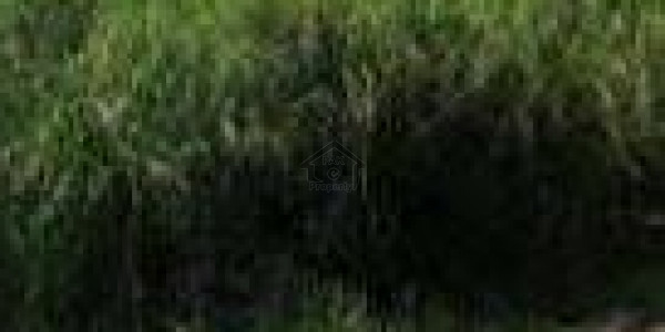 Gulberg Greens - Block A - Gulberg Greens Block A Farmhouse Land For Sale IN Islamabad