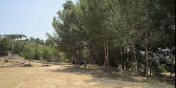 Bahria Enclave - 10 Marla -Plot For Sale