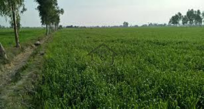 Balkasar - Land Is Available For Sale IN Chakwal